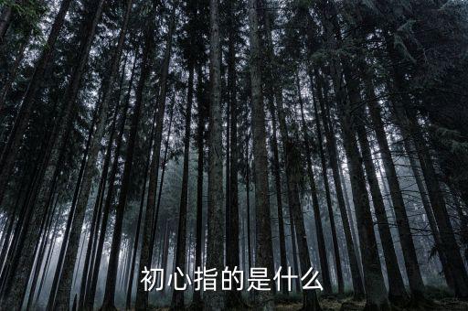 稅務(wù)人 初心是什么，納稅人意識是什么謝謝