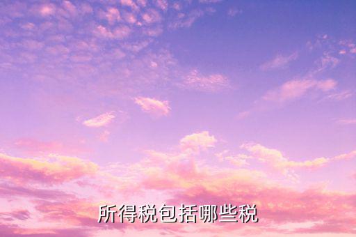 企業(yè)所得稅包含什么，公司所得稅包含有哪兩個