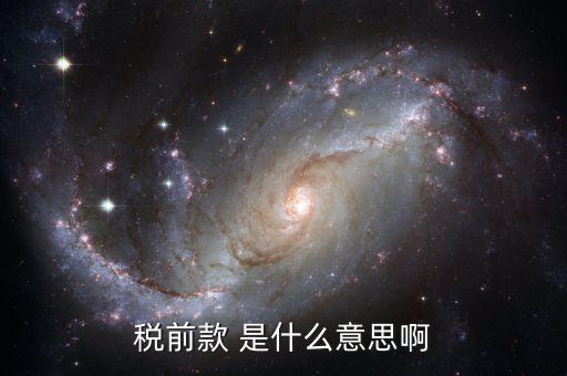 稅前金額是什么意思，稅前款 是什么意思啊