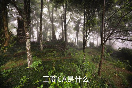 什么是企業(yè)ca密碼，ca證書密碼是什么