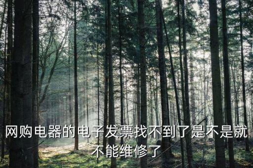 為什么電子發(fā)票找不到了，網(wǎng)購電器的電子發(fā)票找不到了是不是就不能維修了