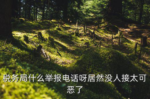 什么叫稅務(wù)舉報(bào)，稅務(wù)局什么舉報(bào)電話呀居然沒人接太可惡了