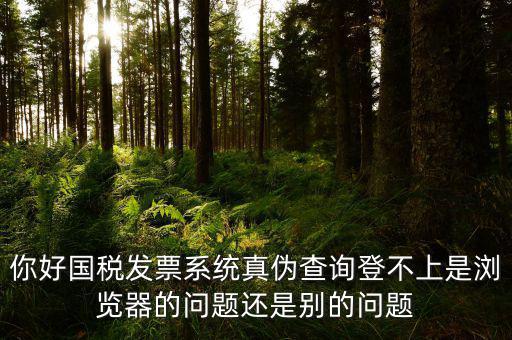 新疆國稅發(fā)票查詢?yōu)槭裁催M不去，為什么國稅官網(wǎng)中電子發(fā)票查詢打不開