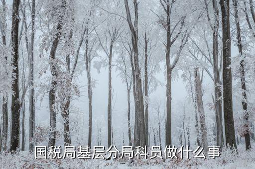 國(guó)稅局基建科做什么，是不是很多單位都有基建處基建處都干點(diǎn)什么
