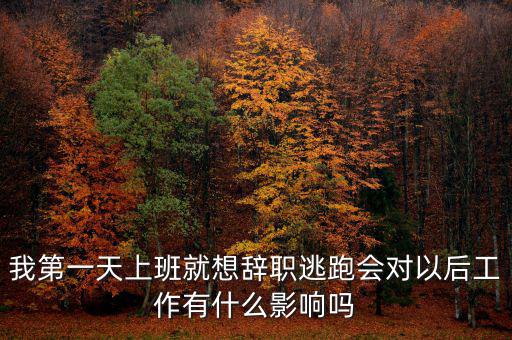 公司走逃會有什么后果，企業(yè)走逃對財務(wù)有甚么影響
