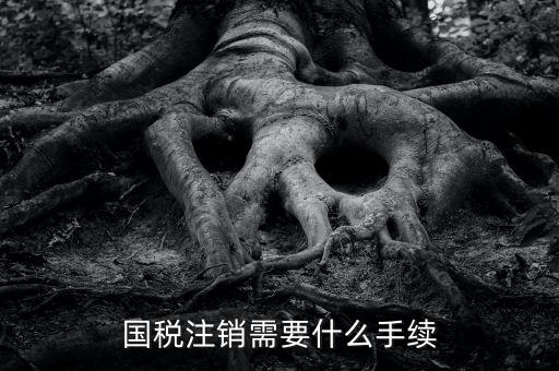 國稅局注銷要什么手續(xù)，國稅注銷需要什么手續(xù)