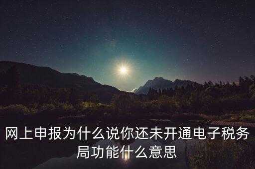 電子稅務(wù)局是干什么，企業(yè)金稅盤系統(tǒng)用來開票抄稅報稅用那登錄國稅地稅局網(wǎng)站是干嘛的