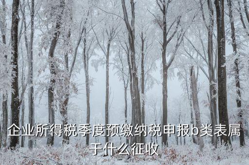 所得稅b類按什么征收，企業(yè)所得稅季度預繳納稅申報b類表屬于什么征收