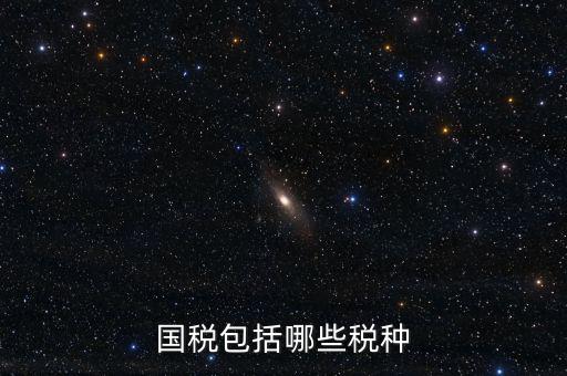 國稅局主要收什么稅，國稅包括哪些稅種