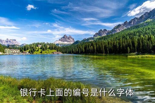 中國銀行數字字體是什么，中國銀行的標是什么字體啊
