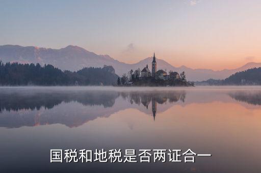 國稅的兩證合一是什么意思，國稅和地稅是否兩證合一
