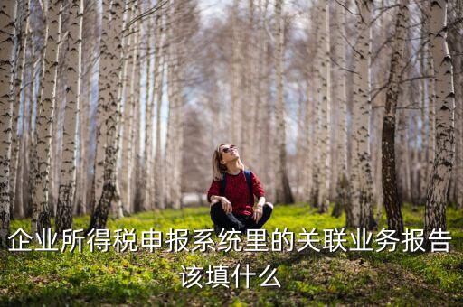 什么情況寫關(guān)聯(lián)申報(bào)，企業(yè)所得稅申報(bào)系統(tǒng)里的關(guān)聯(lián)業(yè)務(wù)報(bào)告該填什么