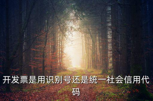 發(fā)票填寫統(tǒng)一社會(huì)代碼是什么，開發(fā)票要的稅號(hào)是統(tǒng)一社會(huì)代碼證號(hào)嗎