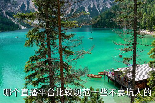 什么直播平臺(tái)扣稅最少，陌陌主播官方代繳稅收嗎