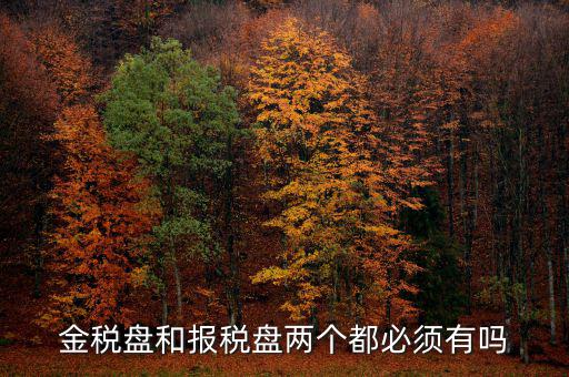 申報盤是什么，保險兼業(yè)代理人資格申報電腦數(shù)據(jù)盤是什么意思