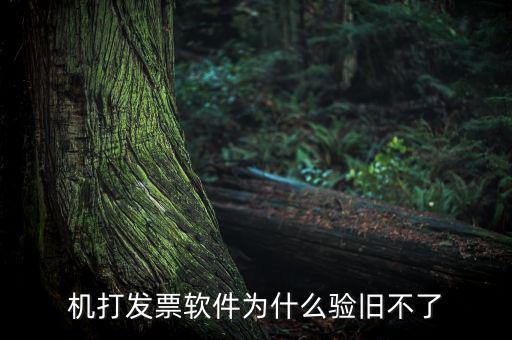 機(jī)打發(fā)票軟件為什么驗舊不了