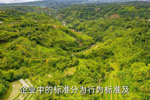 公司的標(biāo)準(zhǔn)是什么，企業(yè)中的標(biāo)準(zhǔn)分為行為標(biāo)準(zhǔn)及