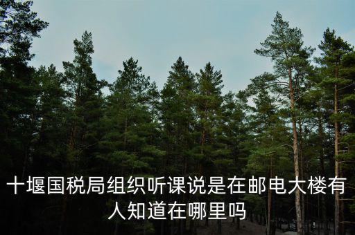 十堰國稅六辦指什么地方，十堰國稅局組織聽課說是在郵電大樓有人知道在哪里嗎