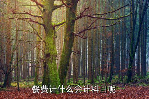 研發(fā)人員的餐費(fèi)計(jì)入什么科目，餐費(fèi)計(jì)什么會(huì)計(jì)科目呢