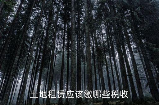土地租賃需要交什么稅，土地租賃應(yīng)該繳哪些稅收