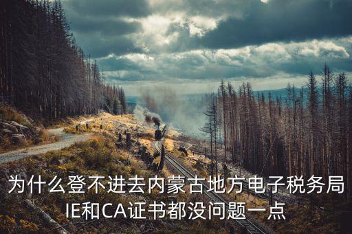 為什么ca登不了電子稅務(wù)局，國(guó)稅數(shù)字證書登陸失敗請(qǐng)問(wèn)什么原因
