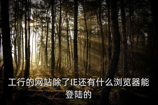 開(kāi)票登陸的瀏覽器是什么，工行的網(wǎng)站除了IE還有什么瀏覽器能登陸的