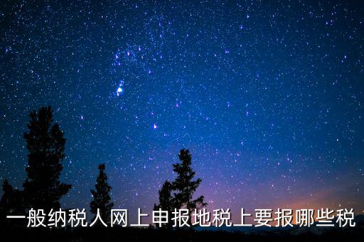 地稅都申報什么，一般納稅人網(wǎng)上申報地稅上要報哪些稅