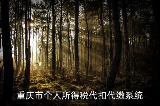 重慶網(wǎng)上繳稅什么網(wǎng)址，重慶市國稅網(wǎng)網(wǎng)址是多少