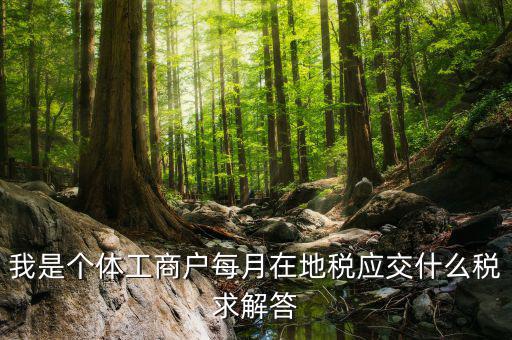 我是個(gè)體工商戶(hù)每月在地稅應(yīng)交什么稅求解答