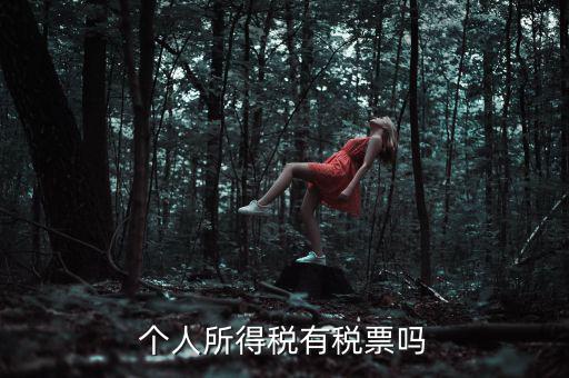 個(gè)人所得稅是什么發(fā)票，個(gè)人所得稅有稅票嗎