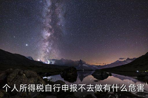 個稅不申報有什么后果，個人所得稅自行申報不去做有什么危害