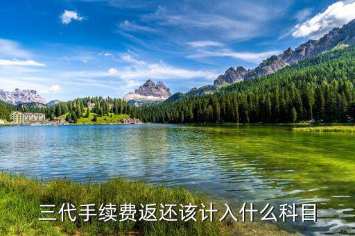 什么叫三代手續(xù)費(fèi)，三代手續(xù)費(fèi)返還該計(jì)入什么科目