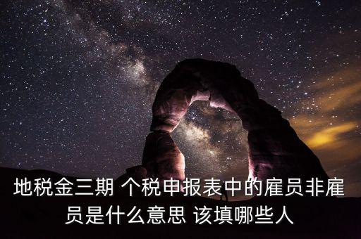 地稅金三期 個稅申報(bào)表中的雇員非雇員是什么意思 該填哪些人