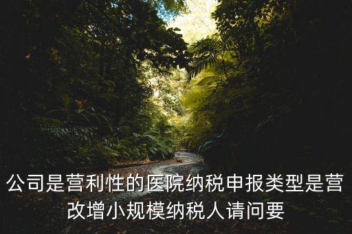 公司是營(yíng)利性的醫(yī)院納稅申報(bào)類型是營(yíng)改增小規(guī)模納稅人請(qǐng)問(wèn)要