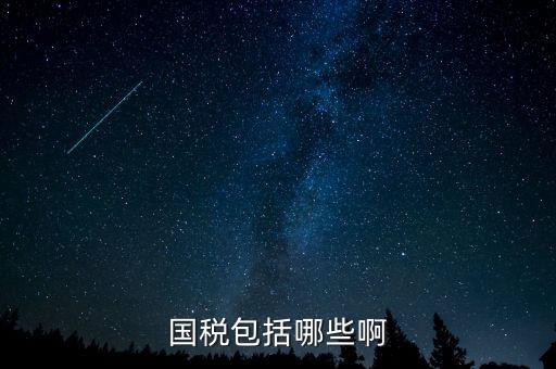 國稅涵蓋什么，國稅包括哪些啊