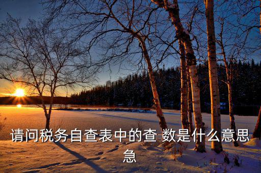 請問稅務(wù)自查表中的查 數(shù)是什么意思急