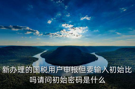 新辦理的國(guó)稅用戶申報(bào)但要輸入初始比嗎請(qǐng)問(wèn)初始密碼是什么
