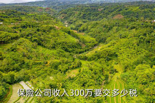 保險(xiǎn)公司交什么稅，保險(xiǎn)公司保險(xiǎn)費(fèi)交營(yíng)業(yè)稅嗎按5交