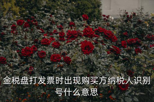 金稅盤打發(fā)票時出現(xiàn)購買方納稅人識別號什么意思