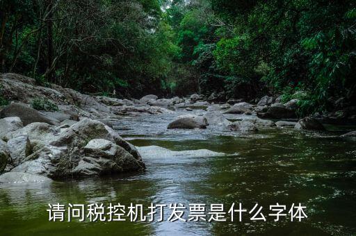 發(fā)票用什么字體，請(qǐng)問稅控機(jī)打發(fā)票是什么字體