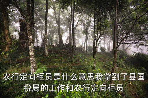 國(guó)稅值班是什么意思，農(nóng)行定向柜員是什么意思我拿到了縣國(guó)稅局的工作和農(nóng)行定向柜員