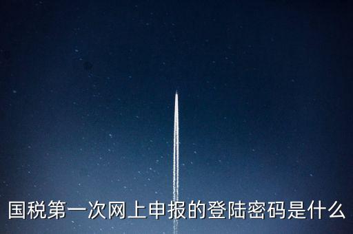 所得稅清算登陸密碼是什么，國(guó)稅第一次網(wǎng)上申報(bào)的登陸密碼是什么