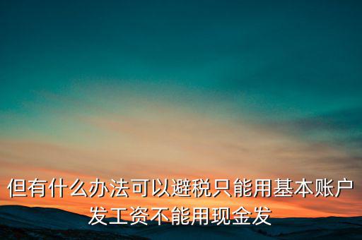 什么是國(guó)稅存量賬戶，但有什么辦法可以避稅只能用基本賬戶發(fā)工資不能用現(xiàn)金發(fā)