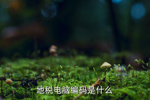 什么是地稅微機(jī)代碼，稅務(wù)微機(jī)編碼是什么