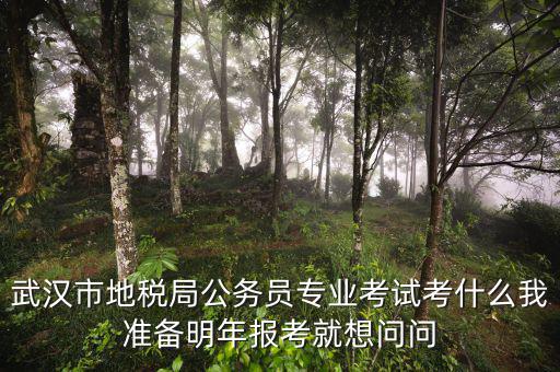 省地稅局復(fù)試考什么，武漢市地稅局公務(wù)員專業(yè)考試考什么我準(zhǔn)備明年報(bào)考就想問問