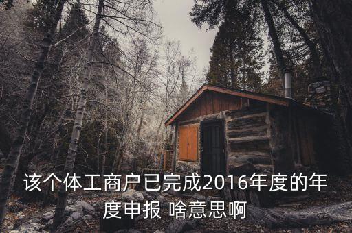 個(gè)體戶申報(bào)是什么意思，該個(gè)體工商戶已完成2016年度的年度申報(bào) 啥意思啊