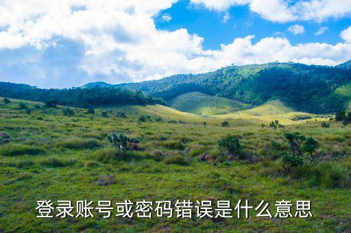 陜西電子稅務(wù)局登錄賬號是什么意思，登錄賬號或密碼錯(cuò)誤是什么意思