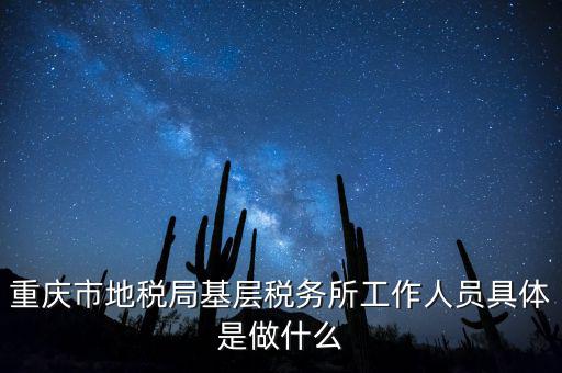 重慶地稅局前臺做什么的，重慶市地稅局基層稅務(wù)所工作人員具體是做什么