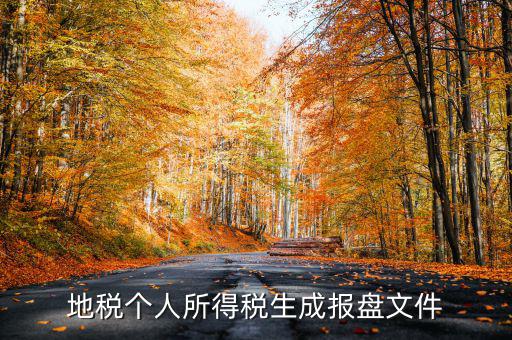 地稅個(gè)人所得稅生成報(bào)盤(pán)文件