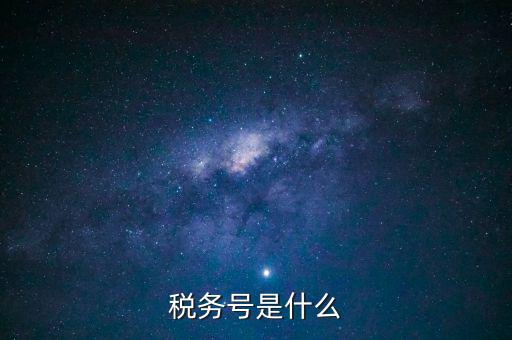 什么是稅務(wù)登記號，稅務(wù)號是什么